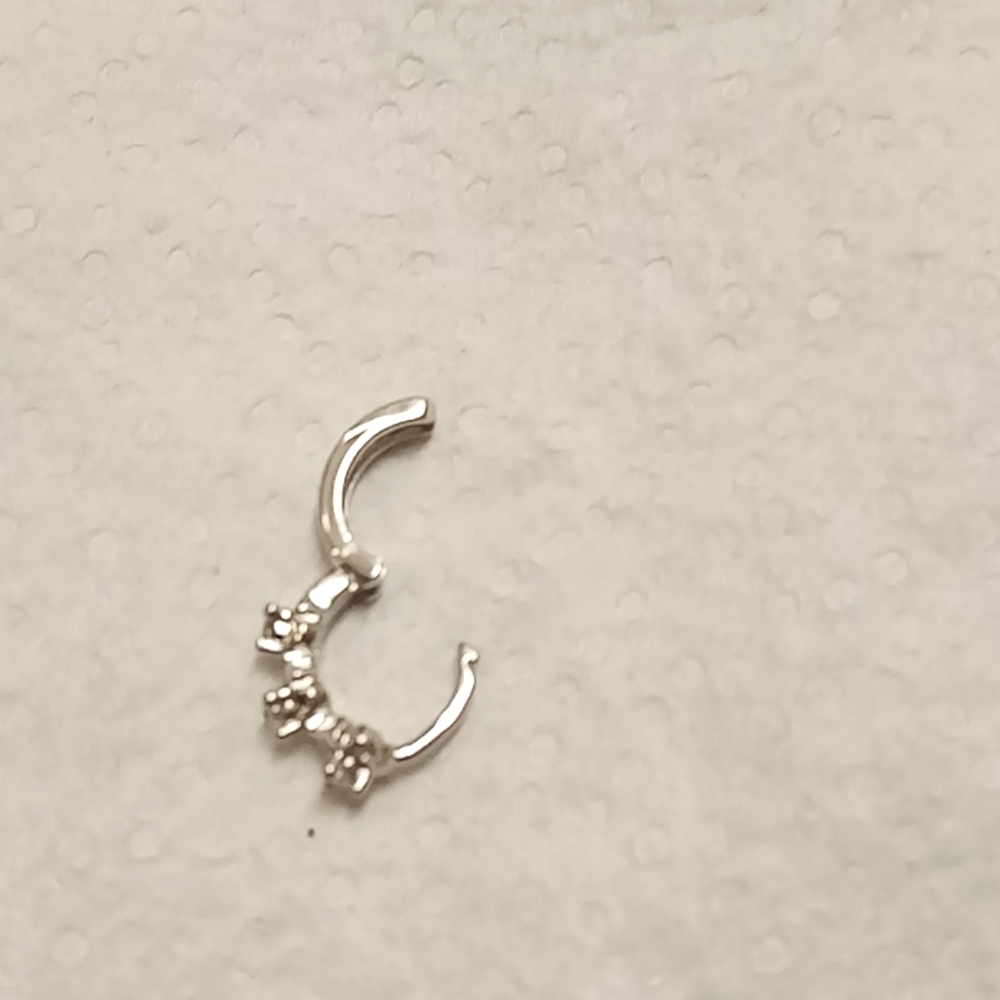 Silver Nose Ring - Picture 1 of 2
